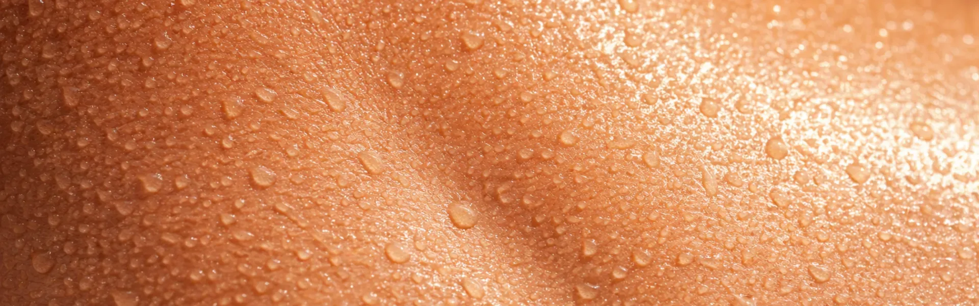 WEBPConverter - фото (8).webp